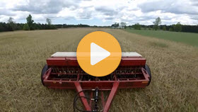 IH 510 grain drill food plot seeding with cover crops