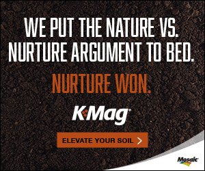 Mosaic K-Mag Mosaic K-Mag