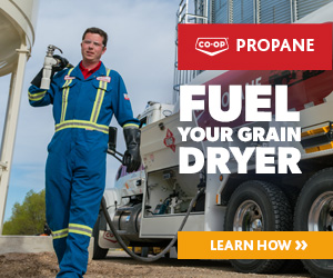 Grain Drying 2025