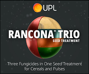 Racona Trio