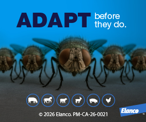 Adapt before they do