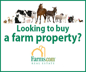 Farms.com Real Estate Canada Animals