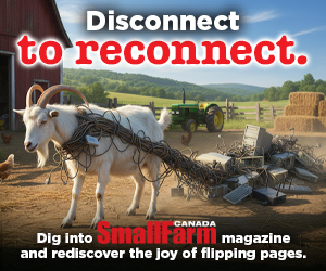 SFC Disconnect to Reconnect - Goat