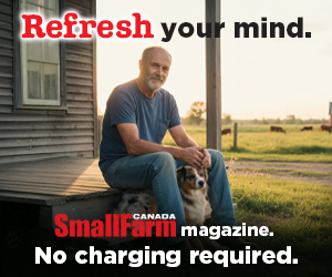 SFC Refresh Your Mind - Man