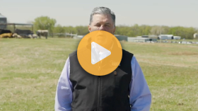 Increased beef carcass quality