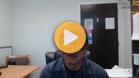 What drives meat quality in pork?