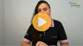 Sow welfare and group housing systems