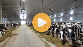 Work on a Sask. farm
