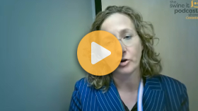 Intrauterine vaccines in swine