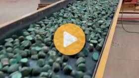 Cruiser Maxx Vibrance Potatoes from Syngenta