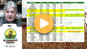 More frost in the forecast