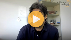 Does stress ruin pork meat quality?