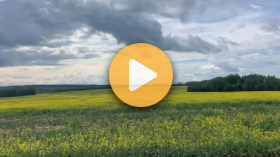 Northern Alberta Crop Tour