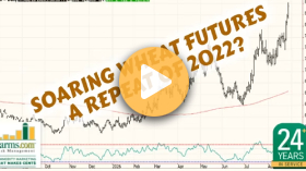 Ag Commodity Corner+ Podcast - Week 73