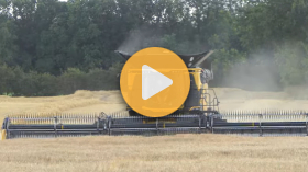 Harvesting Barley