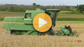 Wheat harvest