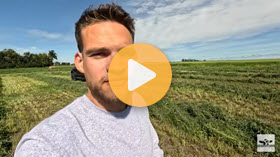 Alfalfa on a Sask. dairy farm