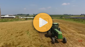 John Deere 4230 Tractor Forage Harvesting Oats