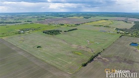 Cash Crop