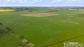 Cash Crop