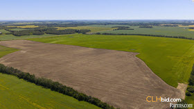 Cash Crop