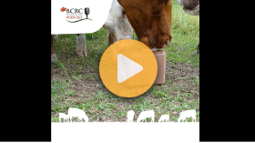 Be mindful of minerals