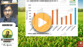 Did bears win Thanksgiving?