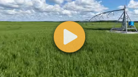 Sask. barley harvest