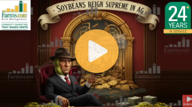 Making soybeans great again