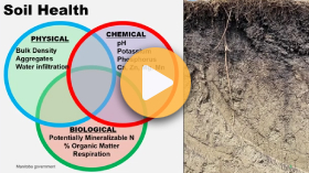 Assessing soil health