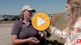 How green is your feed?