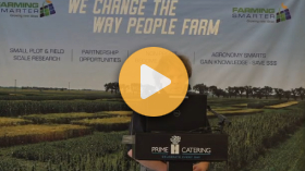 Balancing innovation and regulation