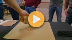 Learning about grain grading