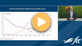 Canadian cattle outlook