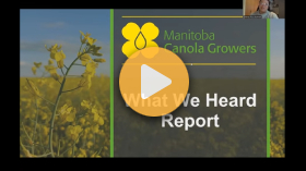Hearing from Manitoba canola producers