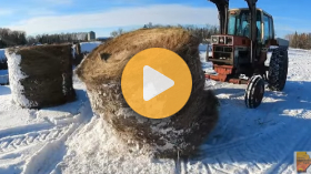 Life on a Manitoba farm