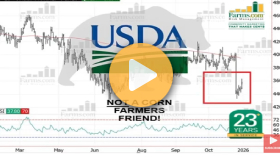 2026 USDA January crop report