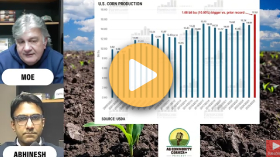 2026 USDA January crop report