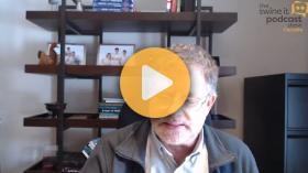 Thermography for pig welfare