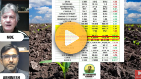 Pollination Progress & Yield Pressure Build