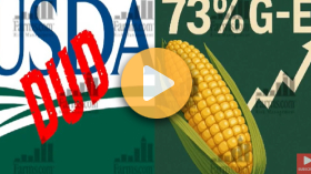 USDA Reports Disappoint, but Markets Eye Crop Potential and Trade Deal Whispers