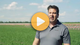 One gene between wheat and disaster