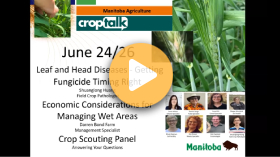 CropTalk