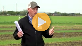 Processing Pea and Sweet Corn Agronomy
