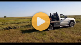 Nitrogen Application of Wheat