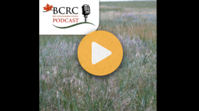 Weed and brush control in pastures