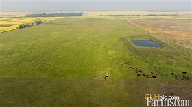 Ranch / Pasture