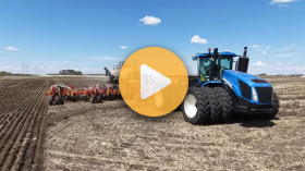 Seeding canola