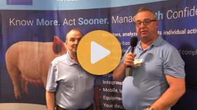 Turning swine data into better decisions