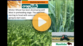 CropTalk